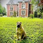 Domaine De La Croix De Saint Lambert Bed & Breakfast 3*